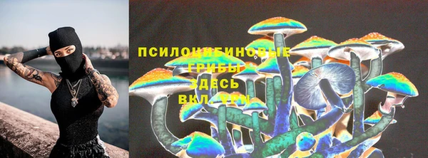 a pvp Абинск