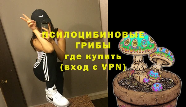 эйфоретик Алексеевка